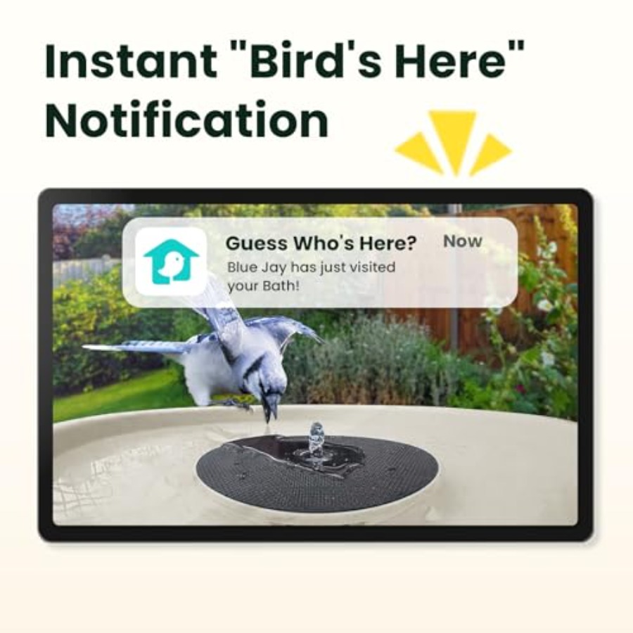 Bird Watching Smart Bird Bath  - Watches & Jewelry Repair Center New York Reviews ulasan dan harga