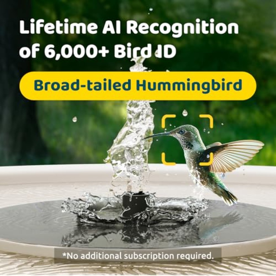 Bird Watching Smart Bird Bath  - Watches & Jewelry Repair Center New York Reviews ulasan dan harga