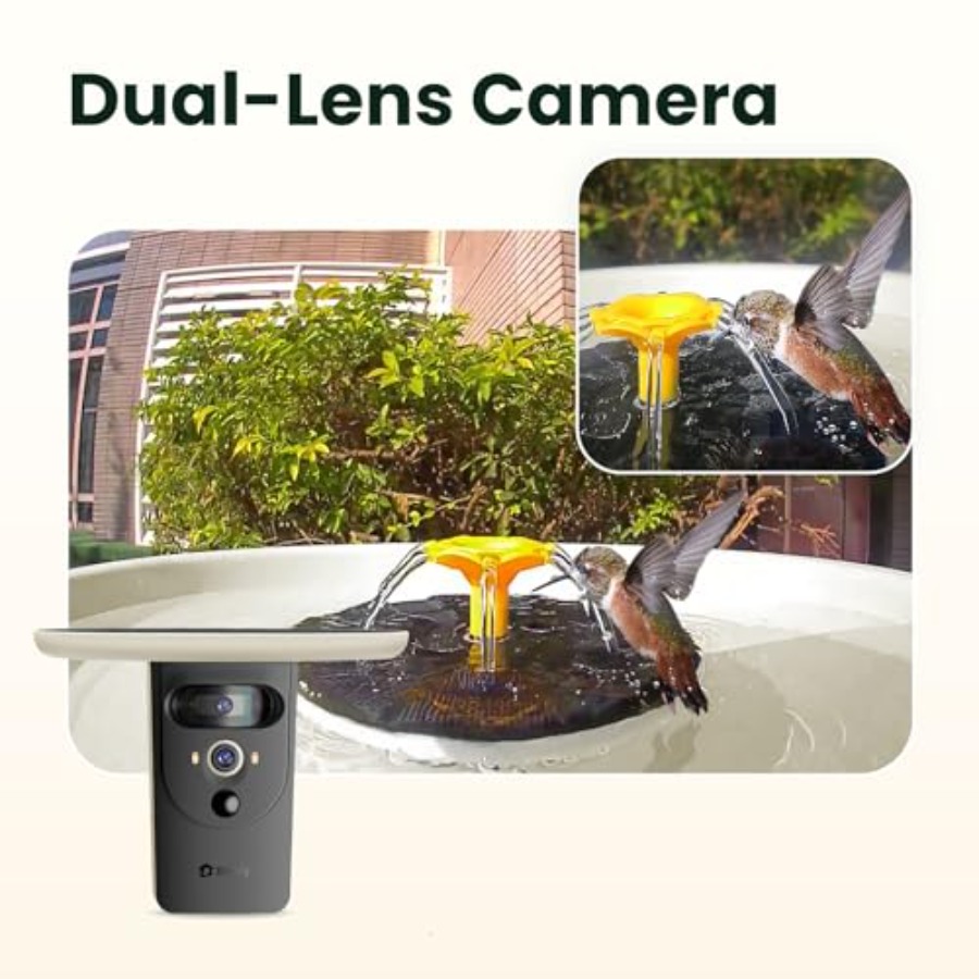 Bird Watching Smart Bird Bath  - Watches & Jewelry Repair Center New York Reviews ulasan dan harga