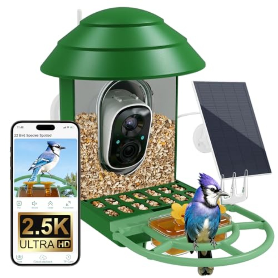 Bird Feeder with Camera for Ou - Watches & Jewelry Repair Center New York Reviews ulasan dan harga