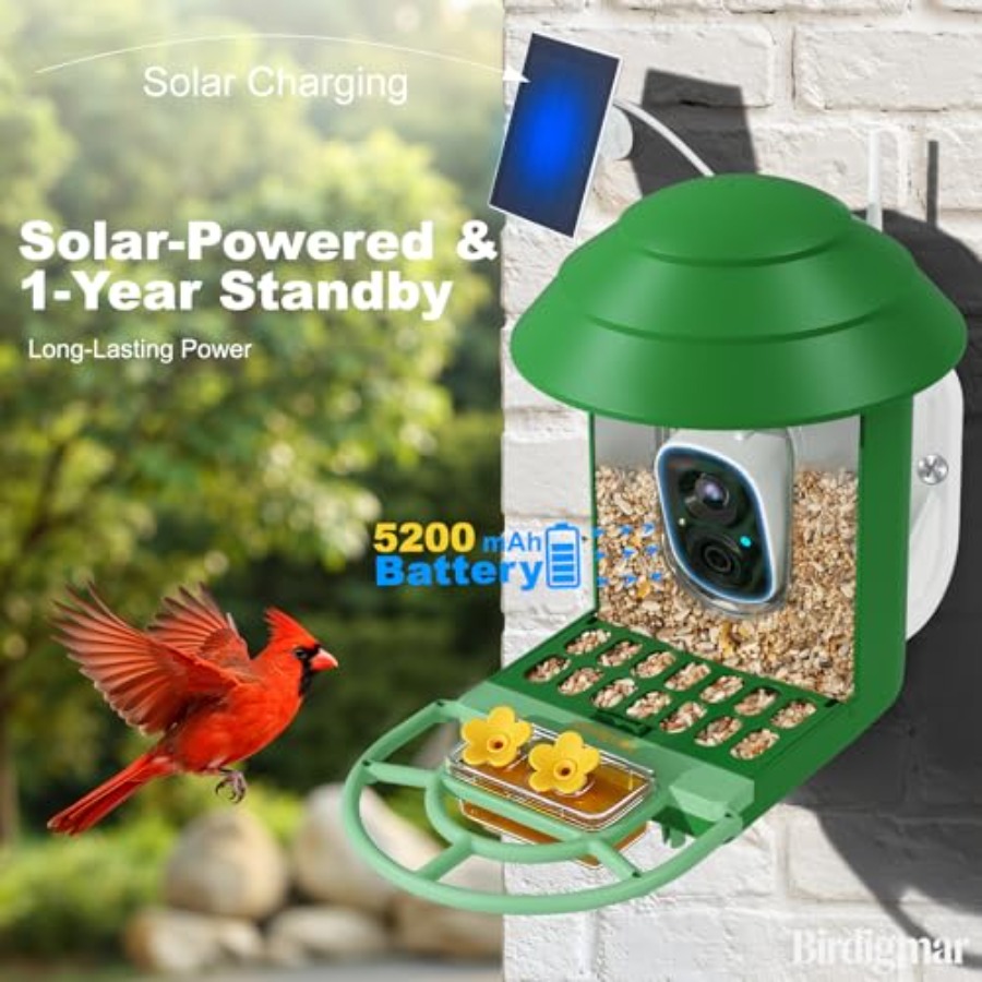 Bird Feeder with Camera for Ou - Watches & Jewelry Repair Center New York Reviews ulasan dan harga