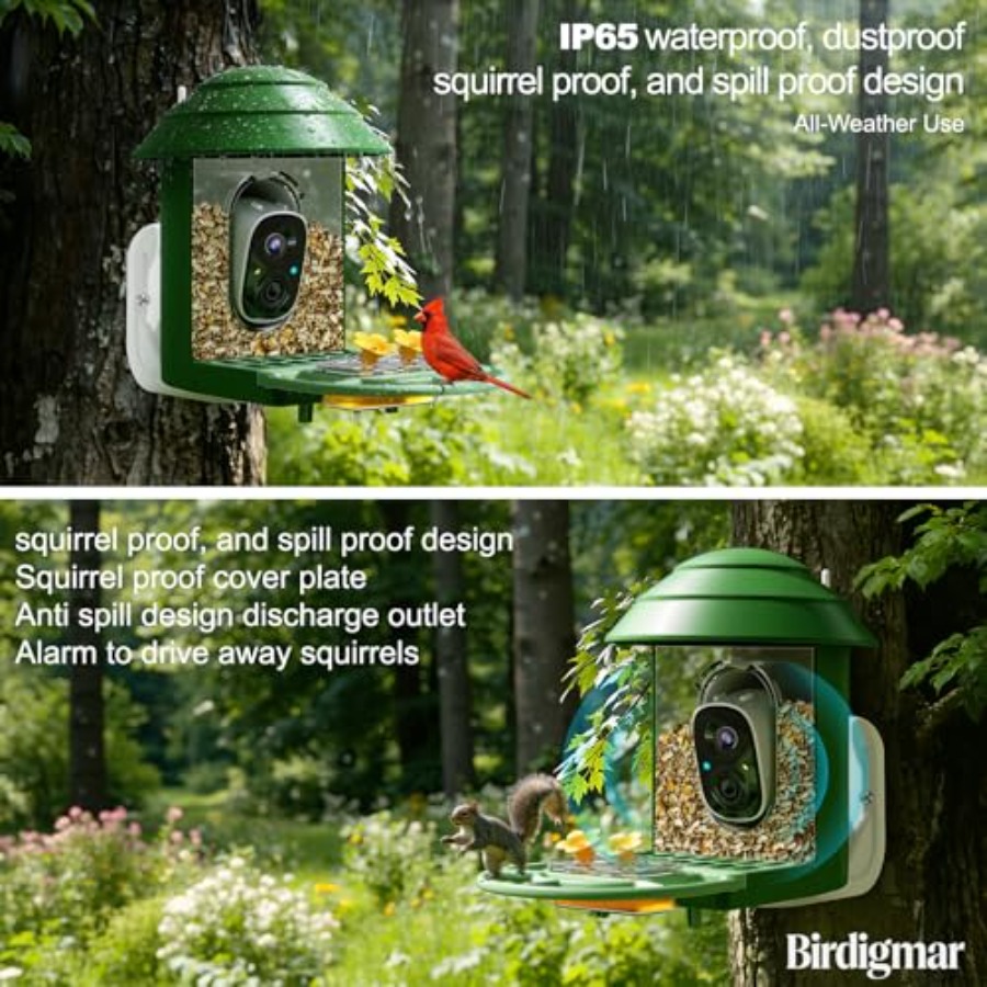 Bird Feeder with Camera for Ou - Watches & Jewelry Repair Center New York Reviews ulasan dan harga